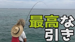 【爆釣】テンションが上がる程釣れまくる！【釣り図鑑を埋めろ12話】