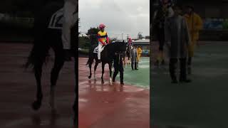 2018.11.6 船橋🐎3R メイショウミナモト 柏木健宏騎手 騎乗