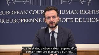 [#JapanCoE25] Message vidéo du Président de la Cour Européenne des Droits de l'Homme