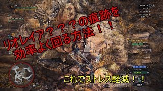 【MHW実況】リオレイア亜種の痕跡の効率のいい回り方！！(リオレイア？？？)