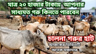 মাত্র 20 হাজার টাকায় আপনার সাধ্যমত গরু কিনতে পারবেন | চালনা গরুর হাট | দাকোপ খুলনা| নগর বাংলা টিভি