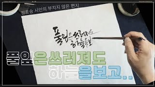 풀잎은 쓰러져도🍃 하늘을 보고... calligraphy 박은영