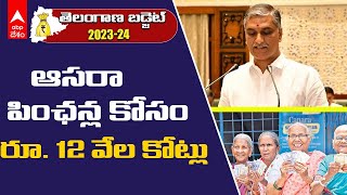 Telangana Budget 2023 | ఆసరా పింఛన్ల కోసం భారీగా నిధులు ప్రతిపాదించిన తెలంగాణ ప్రభుత్వం | ABP Desam