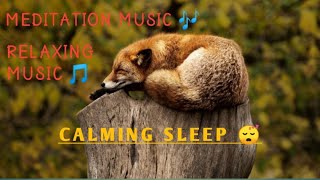 Relaxing  sleep Music - Sleep Music, Water Sounds, Relaxing Music, Meditation Music, relaxing music