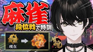 【麻雀】麻雀を続けると誓う男は雀豪を目指す【或世イヌ/Neo-Porte】