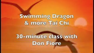 Swimming Dragon & more Tai Chi - Don Fiore