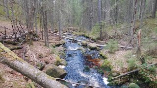 Katikankanjoni Canyon | Kauhaneva-Pohjankangas National Park | Finland