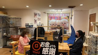 ねこカフェ座談会「多摩市長選を語る」 松田道人会見