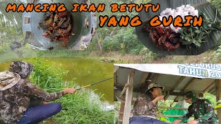 mancing ikan betutu dan mujair‼️ masak goreng super pedas nampol #petualang