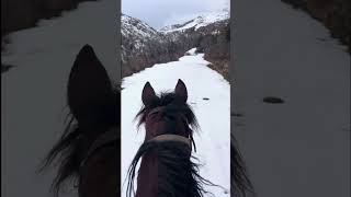 Snowy Ride Up Nebo Creek on Comet