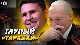 Таракан публично опозорился. Подоляк со вкусом высмеял туповатого Лукашенко