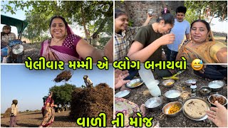 પેલીવાર મમ્મી એ વ્લોગ બનાયવો ✨ || વાળી ની મોજ ✨|| Gujarati vlogs