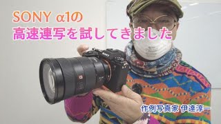 【SONY α1】ソニー最強フルサイズミラーレス「α1」の高速連写を試してみた！