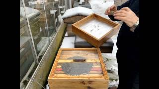 A winter inspection of the hives through our Polycarbonate crown boards.