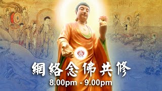 【同步】净土宗网络念佛【第962天】+ 开示视频《只管念佛》 2022-11-05 Online Recitation Session（晚上8pm-9pm (GMT+8))【打开CC字幕】