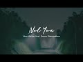 Not You - Alan Walker feat. Emma Steinbaken ( slowed +reverb )