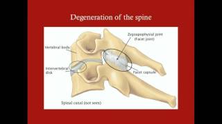 Spine - CRASH! Medical Review Series