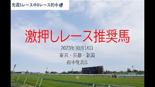 【競馬】府中牝馬S　予想　2023年10月14日推奨レース＆推奨馬