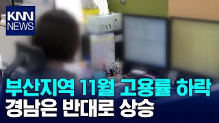 11월 고용률 부산 하락, 경남 상승 / KNN