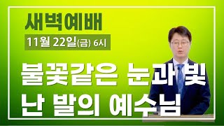 신원동 샘물샘교회  [새벽예배]  (11/22, 금, 6시) 타협하지 말고 오히려 빛나라 #신원동교회 #감리교회