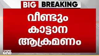 കാട്ടാന ചവിട്ടികൊന്നു; കണ്ണൂരിൽ ദമ്പതികൾക്ക് ദാരുണാന്ത്യം.