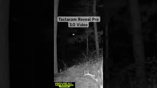 Tactacam Reveal Pro 3.0 Cell Camera Video Download Quality #reveal