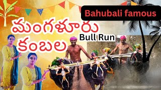 Mangalore Kambala 2024||కంబల మంగళూరు 2024||coastal karnataka||#vlog #teluguvlogs #kambala