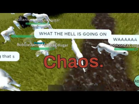 Chaos. - Yellowstone Unleashed - Cougars/Bisons