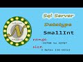 SQL Server: (L9) How to use the SMALLINT data type