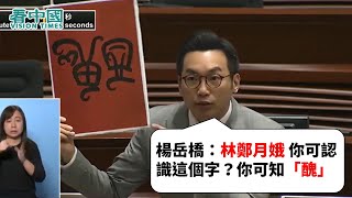 【突發】楊岳橋：林鄭月娥 你可認識這個字？你可知「醜」？