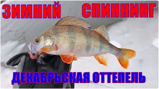 Зимний спиннинг. Декабрьская оттепель