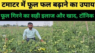 टमाटर में फूल फल बढ़ाने का उपाय फूल गिरने का सही इलाज और खाद, टॉनिक // #Tomato_flowers_droping_off