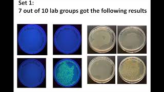 Overview: Bacterial Transformation with Gene Regulation