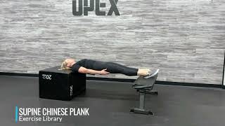 Supine Chinese Plank