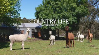 Private Tree Change on Acreage | 11 Cherry Road, Macclesfield VIC