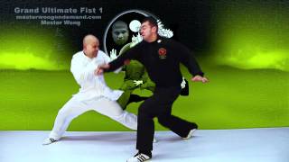 Tai Chi combat tai chi chuan fight style use tai chi - lesson 13