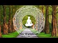 The Wanderer | Guided Meditation for Nature Walks, Mindfulness and Meditation.