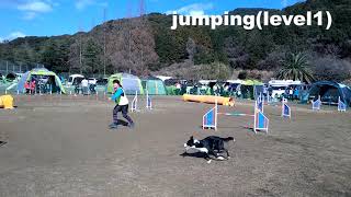 2019/01/27 山口県西部ドッグメイトアジリティークラブアジリティー競技会 テトラJP1