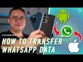 How to transfer WhatsApp from iPhone to Samsung phones? SUPER EASY!