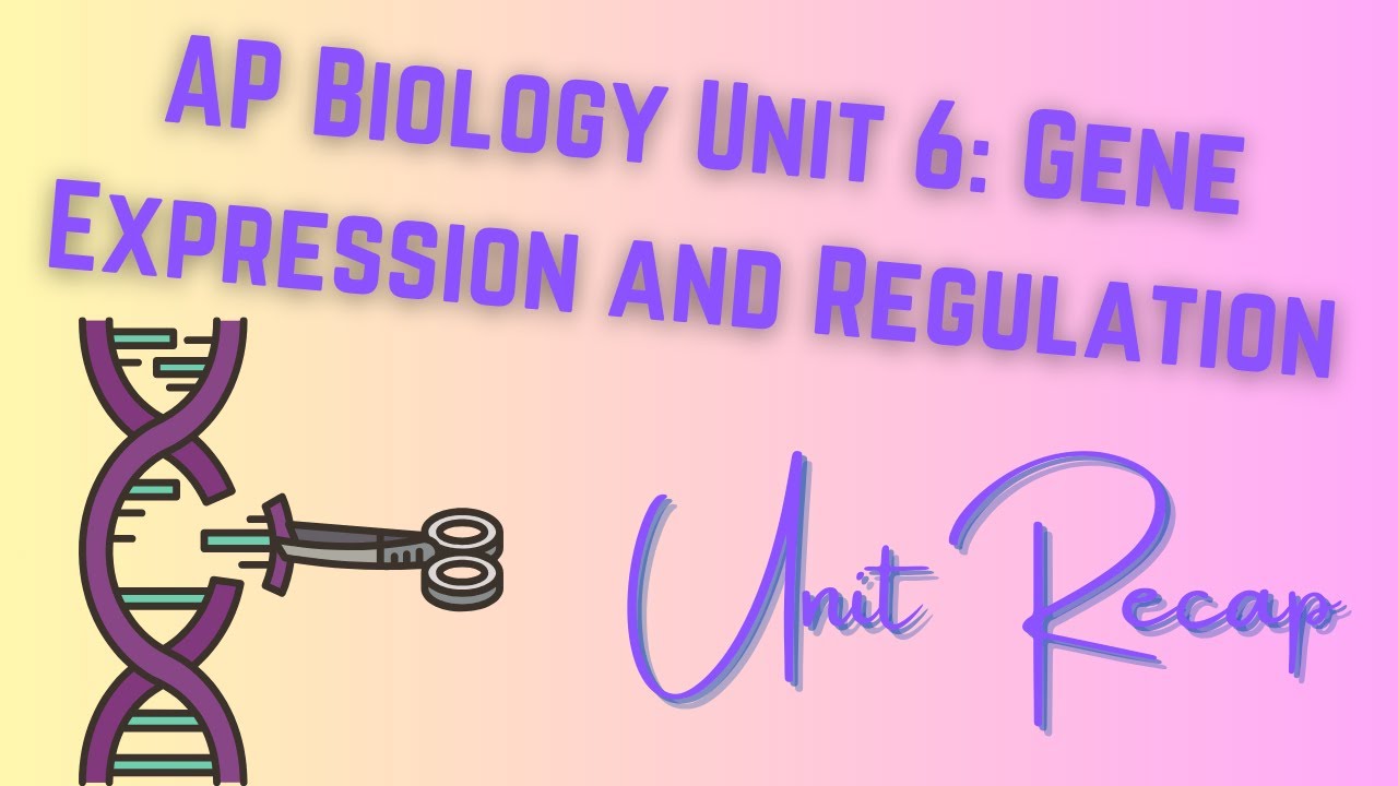 Unit 6: Gene Expression And Regulation AP Biology RECAP - YouTube