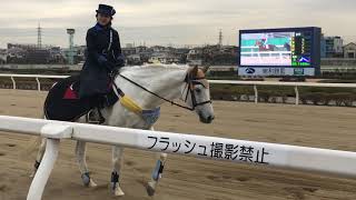 2019,1.10 浦和🐎8R誘導馬