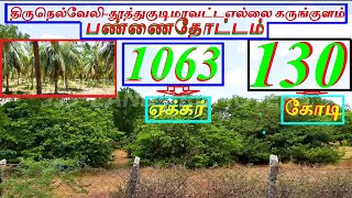 நெல்லை-தூத்துக்குடி பார்டரில் 1063 ஏக்கர் பண்ணைதோட்டம்.விலை 130 கோடி-1280-023.08.29 #property #JJJ