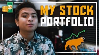 My Stock Portfolio (TDAmeritrade, Stash and Acorns Investing)