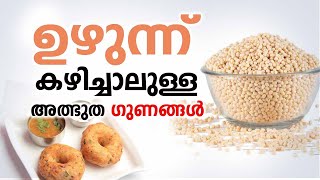 ഉഴുന്ന് കഴിച്ചാലുള്ള അത്ഭുത ഗുണങ്ങൾ | Health benefits of  Uzhunnu