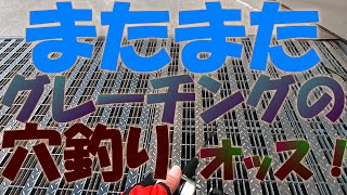 【四日市港】グレーチング隙間から穴釣りNo2 2022年3月中旬。