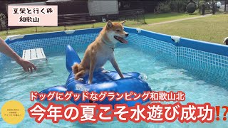 【豆柴とグランピング】水嫌いの豆柴vs水を楽しんでほしい飼い主