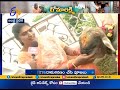 meet miss gowri a punganuru breed cow made as pet animal by guntur family