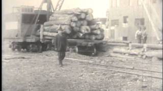 Lumberjack Nearly Killed By Logs Escanaba Michigan Lumbering Operation