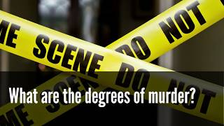 What are the degrees of murder?