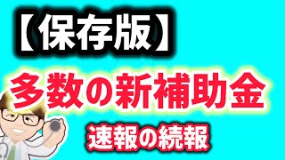 【保存版】PR資料公開・速報・新事業進出促進補助金・省力化投資補助金・新事業進出促進補助金・事業再構築補助金・【中小企業診断士YouTuber マキノヤ先生】第2000回